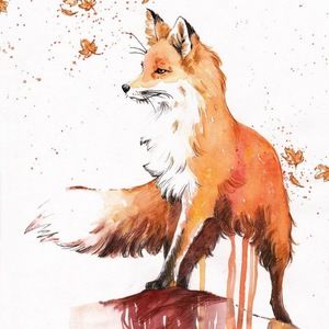 Meet your Posher, Kelley